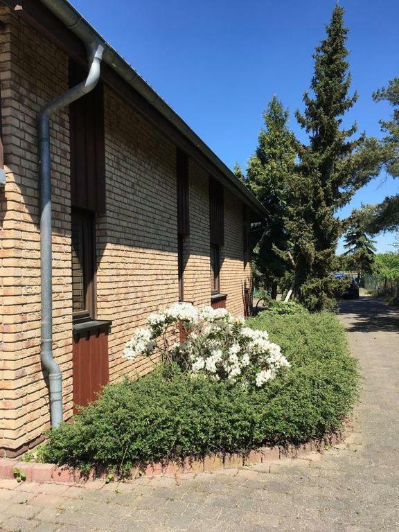 Ferienhaus Busch Lipsia Esterno foto